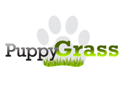 Puppy Grass